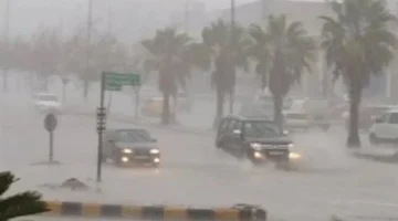 تحذير للسائقين.. الشبورة تعود بكثافة والطرق تتأثر حتى الساعة 10 صباحًا